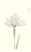photo78_small.jpg