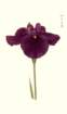 photo7_small.jpg