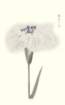 photo93_small.jpg