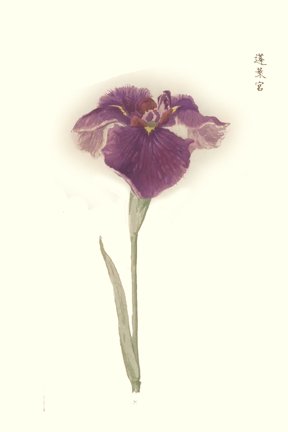 photo99.jpg