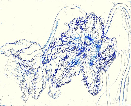 photo11.jpg