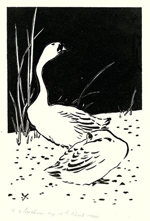 photo8.jpg
