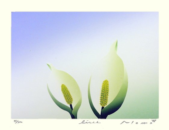 photo14.jpg
