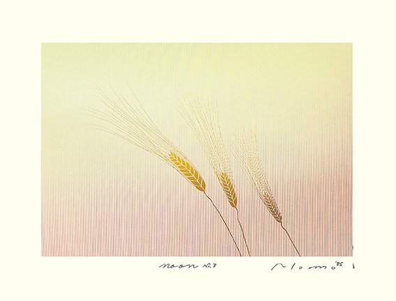 photo6.jpg