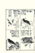 photo10_small.jpg