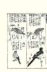 photo12_small.jpg