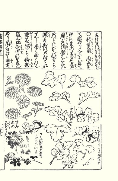 photo49.jpg