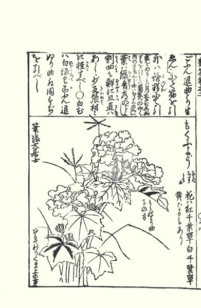 photo51.jpg