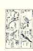 photo8_small.jpg