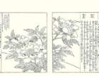 photo12_small.jpg