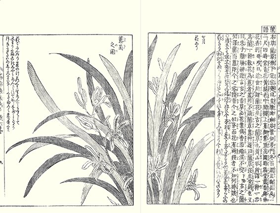 photo20.jpg