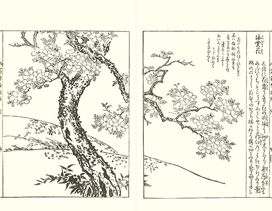 photo6.jpg