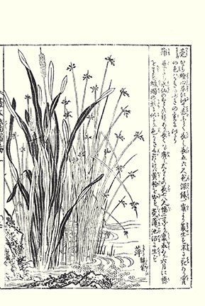 photo25.jpg