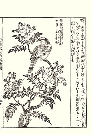 photo22.jpg