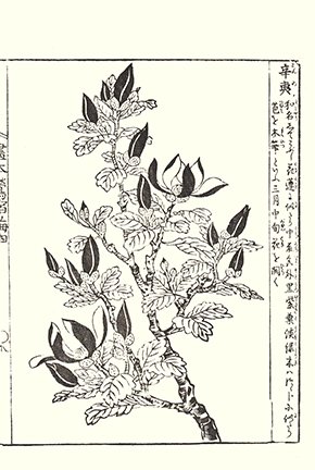 photo7.jpg