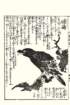 photo24_small.jpg