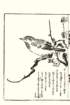 photo26_small.jpg
