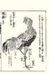photo27_small.jpg