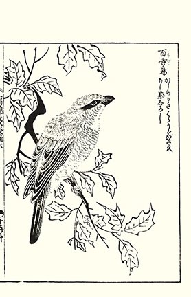 photo18.jpg