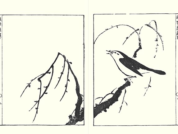 photo24.jpg
