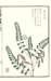 photo11_small.jpg