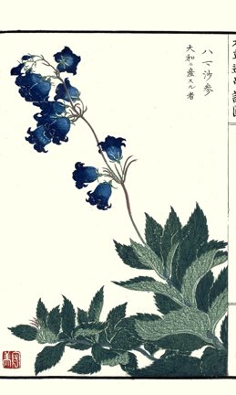 photo40.jpg