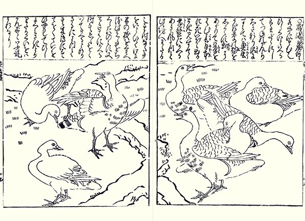 photo20.jpg