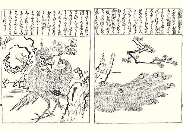 photo4.jpg