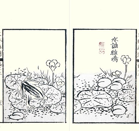 photo27.jpg