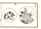 photo10_small.jpg