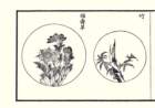 photo11_small.jpg