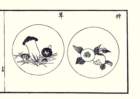 photo12_small.jpg