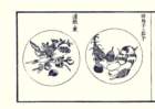 photo13_small.jpg