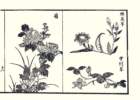 photo14_small.jpg