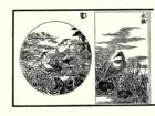 photo15_small.jpg