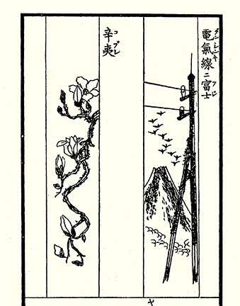 photo18.jpg