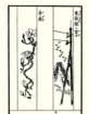 photo18_small.jpg