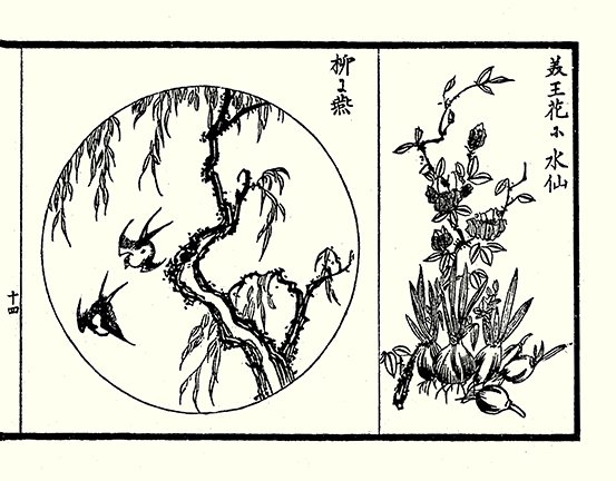 photo22.jpg