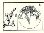 photo23_small.jpg