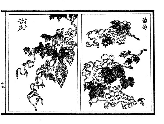 photo28.jpg