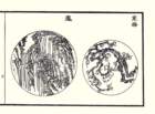 photo2_small.jpg