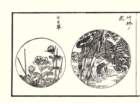 photo3_small.jpg