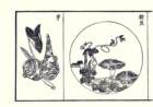 photo5_small.jpg