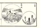 photo6_small.jpg