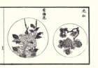 photo7_small.jpg