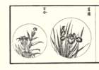 photo8_small.jpg