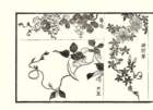 photo9_small.jpg