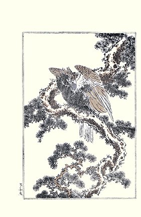 ri5.jpg
