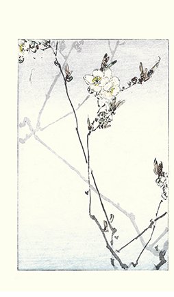 photo18.jpg