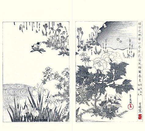 photo2.jpg